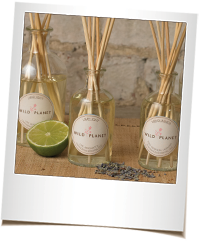 Limelight essential oil diffuser how to be eco-friendly